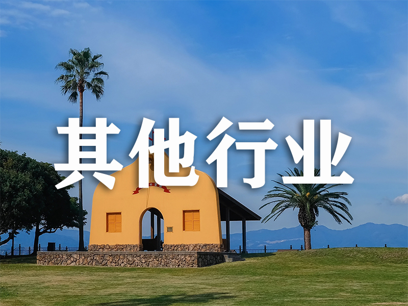 其他行业：多媒体信息发布系统